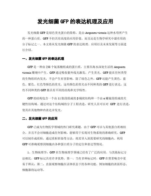 发光细菌GFP的表达机理及应用
