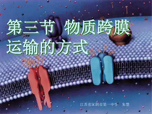 物质运输方式ppt