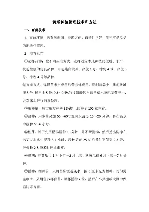 黄瓜种植管理技术和方法 2
