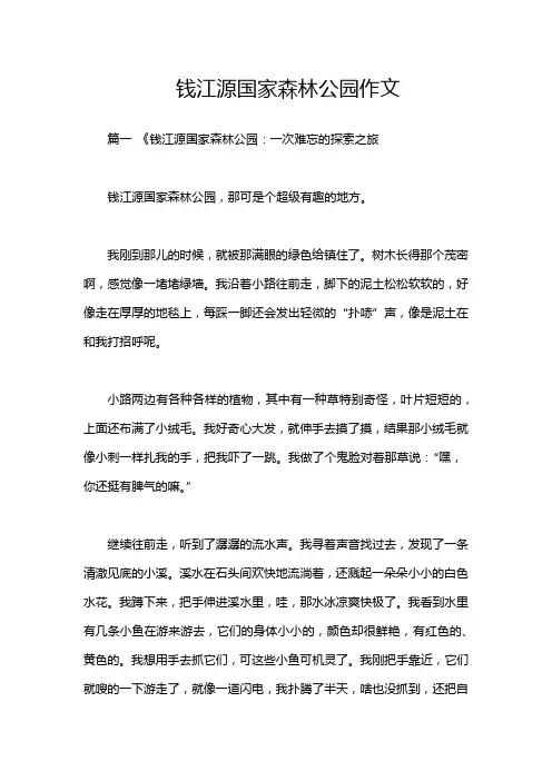 钱江源国家森林公园作文