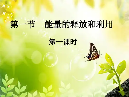 苏科版生物七上7.1《能量的释放和利用》讲课同步课件(共19张PPT)