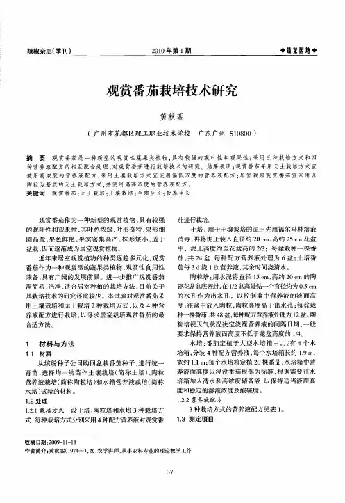 观赏番茄栽培技术研究