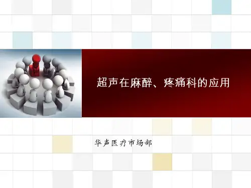 超声在麻醉、疼痛科的应用可修改全文