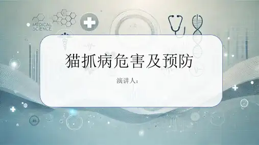 猫抓病危害及预防PPT课件