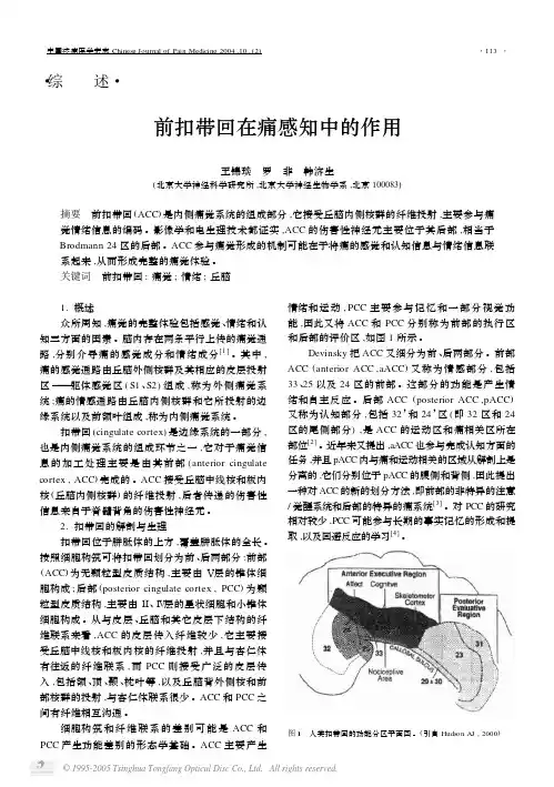 前扣带回在痛感知中的作用