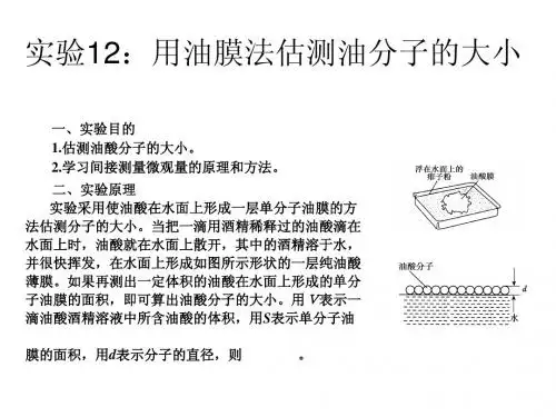 实验12：用油膜法估测油分子的大小