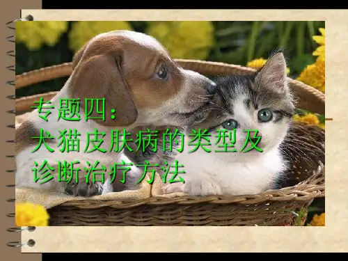 犬猫皮肤病的类型及诊断方法【动医11-2第一组】