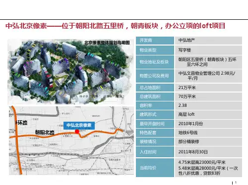 中弘北京像素案例