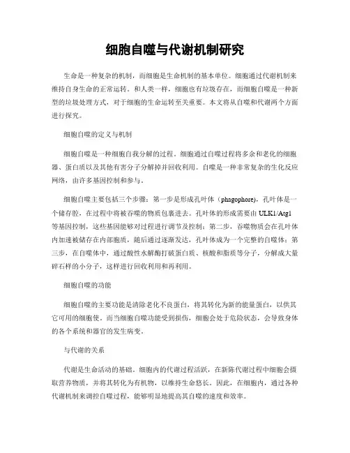 细胞自噬与代谢机制研究