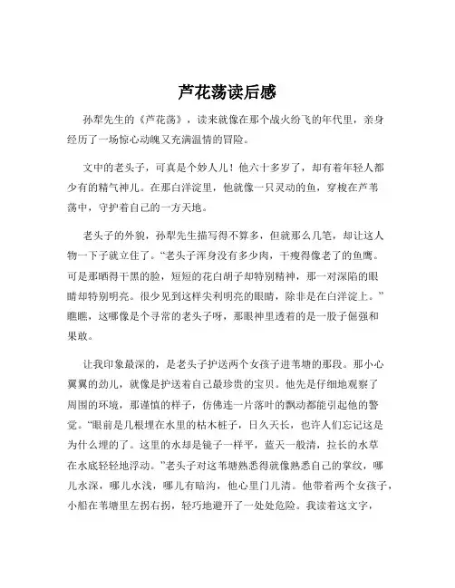 芦花荡读后感