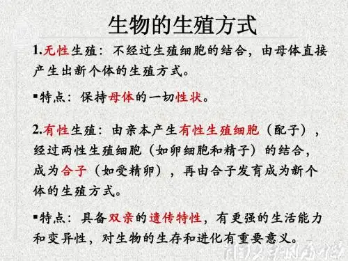 笔记 减数分裂中的染色体行为