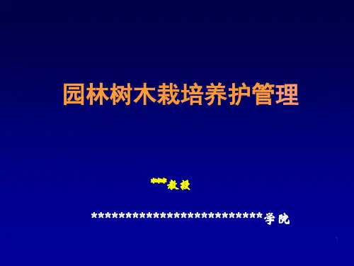 园林树木栽培养护管理PPT课件