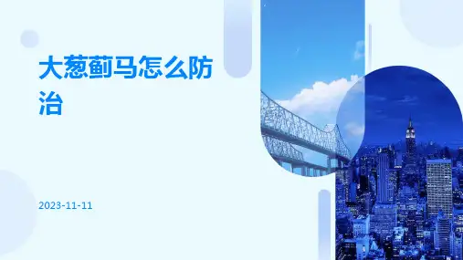 大葱蓟马怎么防治