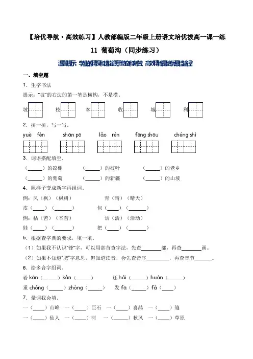 11 葡萄沟(同步练习)-人教部编版(含答案)