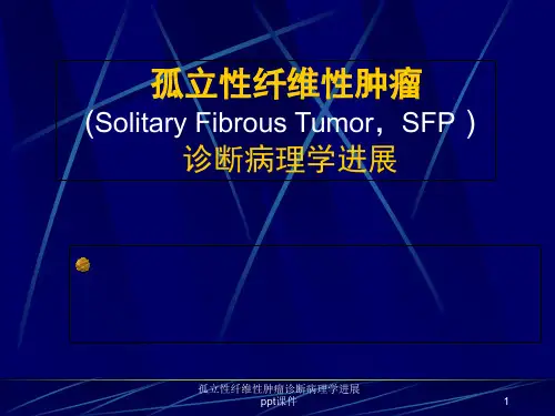 孤立性纤维性肿瘤诊断病理学进展 ppt课件