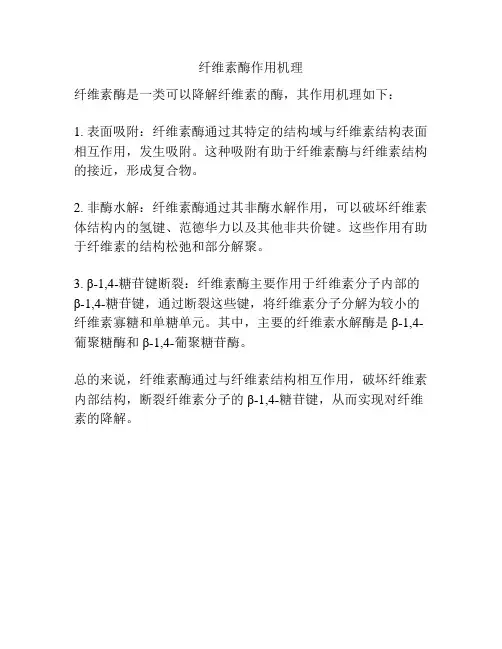 纤维素酶作用机理