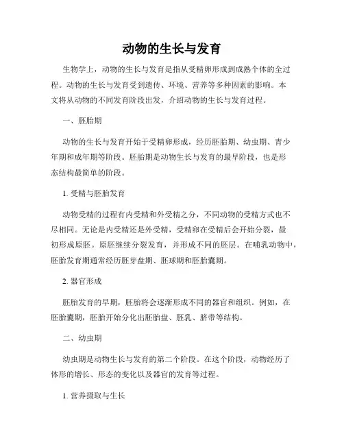 动物的生长与发育