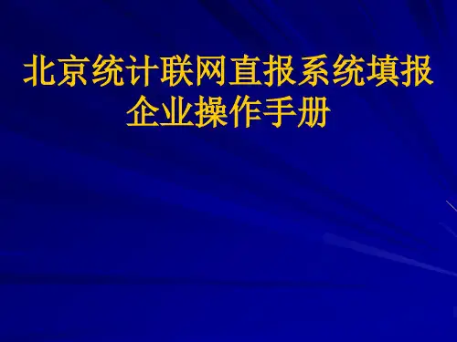 北京统计联网直报系统填报企业操作手册