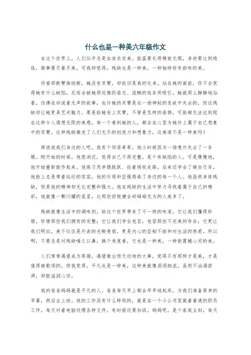 什么也是一种美六年级作文