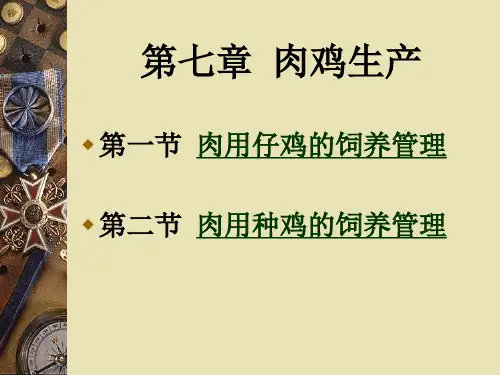 《家禽生产学》课件 第七章 肉鸡生产.ppt