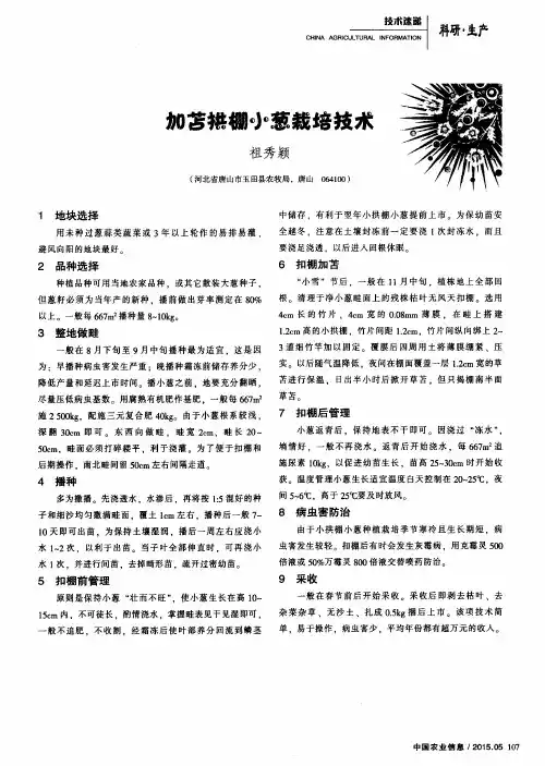 加苫拱棚小葱栽培技术