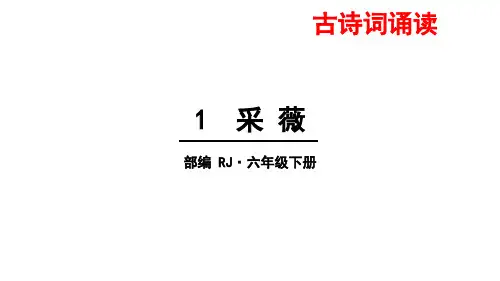 小学六年级下册语文采薇(节选)PPT课件人教部编版