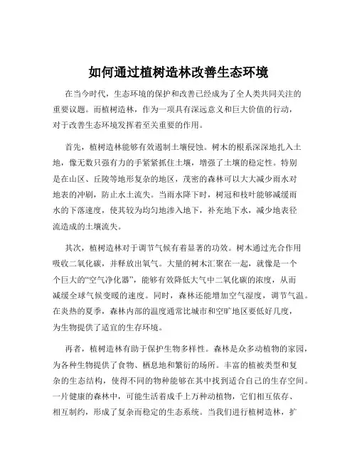 如何通过植树造林改善生态环境