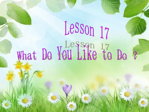 最新冀教版四年级英语下册Lesson17 WhatDoYou Like to Do课件