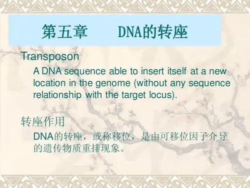 分子生物学 第五章 DNA的转座