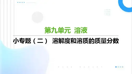 第九单元小专题(二) 溶解度和溶质的质量分数九年级化学人教版下册