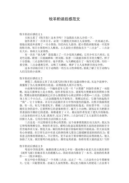 牧羊豹读后感范文