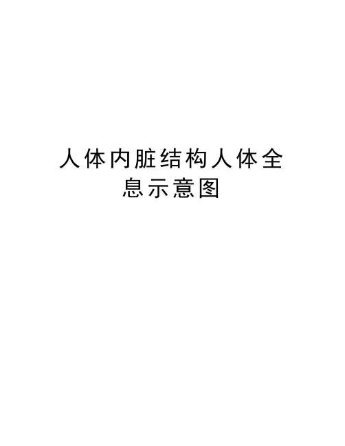 人体内脏结构人体全息示意图