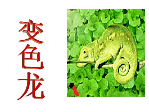 (完整)一级下册美术课件-第课 变色龙｜湘美版精品PPT资料精品PPT资料