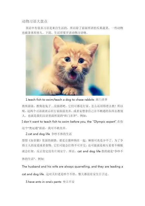 动物习语大盘点