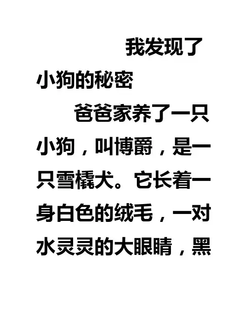 我发现了小狗的秘密