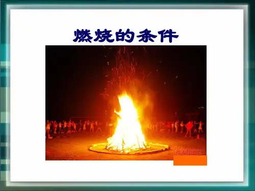 初中化学科粤版九年级上册3.3 燃烧条件与灭火原理