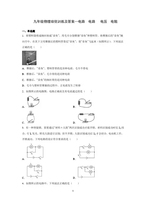 九年级物理培优训练及答案--电路  电路   电压  电阻