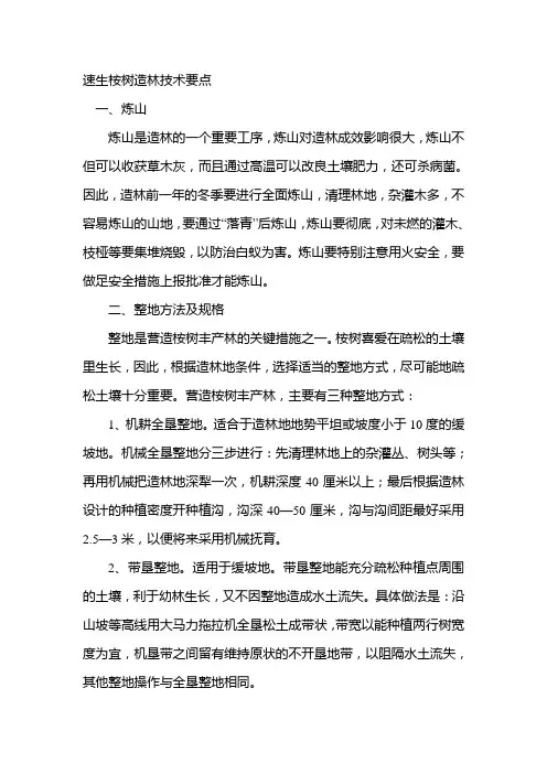 速生桉树造林技术要点