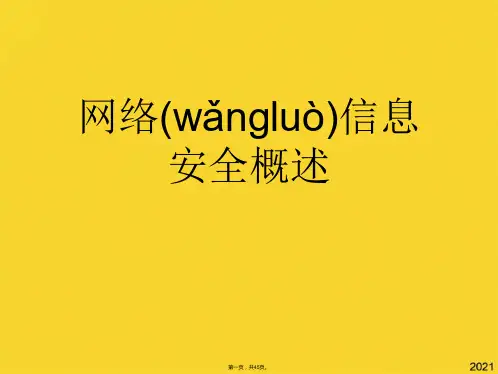 网络信息安全概述(共45张PPT)精选