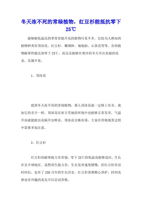冬天冻不死的常绿植物,红豆杉能抵抗零下25℃