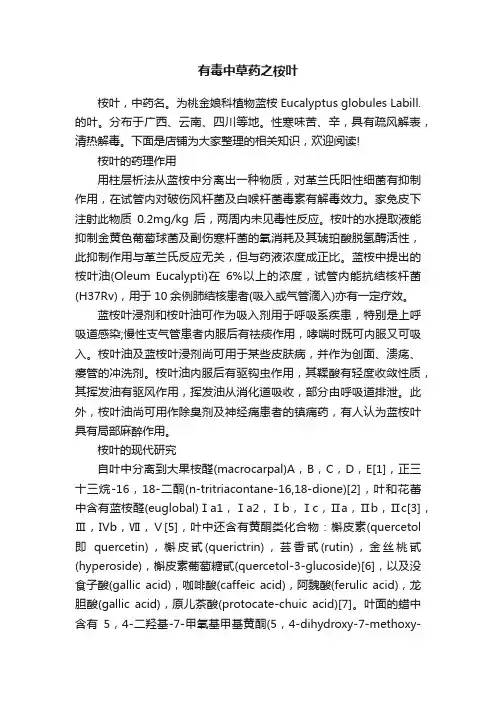有毒中草药之桉叶