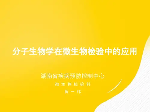 分子生物学在微生物检验中的应用优秀PPT资料