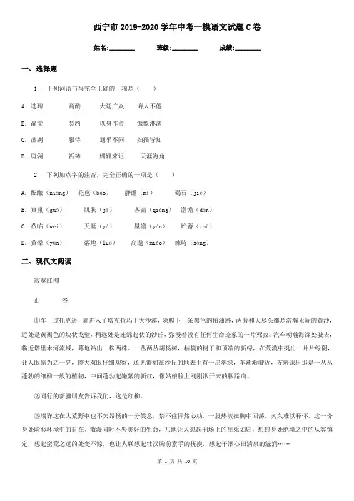 西宁市2019-2020学年中考一模语文试题C卷