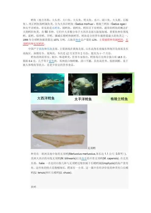 鳕鱼基本资料