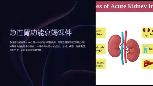 急性肾功能衰竭课件