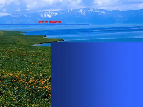 第八章 表面现象