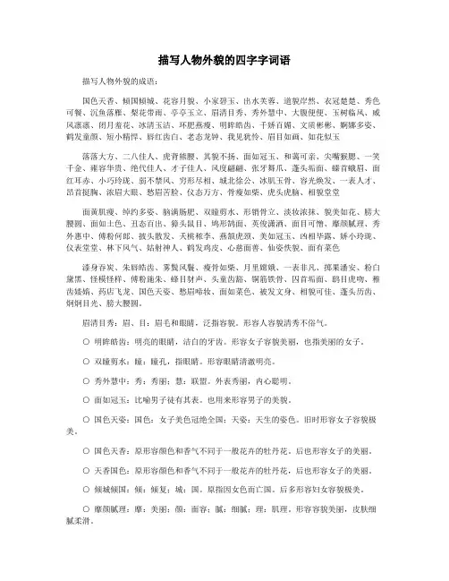 描写人物外貌的四字字词语