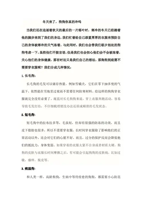 冬天来了,狗狗你真的冷吗