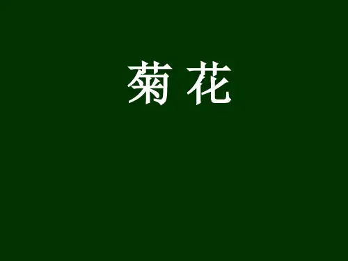 语文三年级上沪教版作文6《菊花》课件(30张)