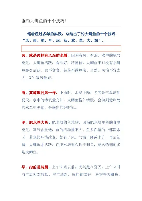 垂钓大鲫鱼的十个技巧